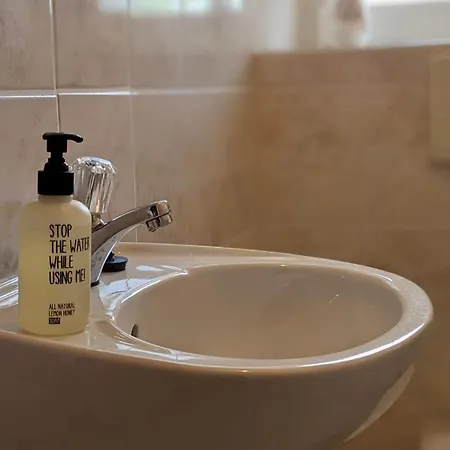 Grosse Mit Loggia Und Garten In *