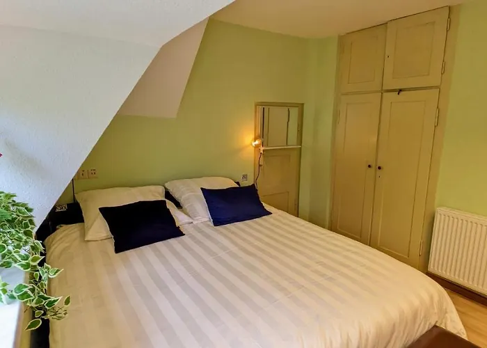 Grosse Mit Loggia Und Garten In Apartment