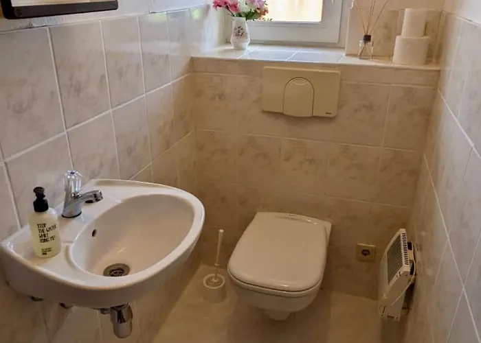 Grosse Mit Loggia Und Garten In Cottbus