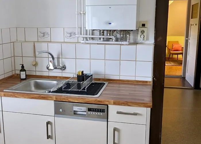 Grosse Mit Loggia Und Garten In Apartment